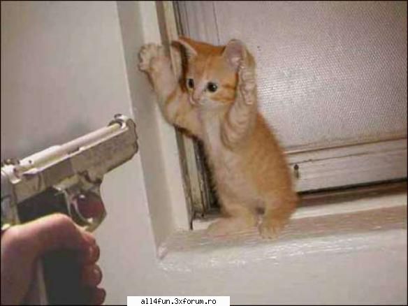 Hai sa radem :) - Click pe imagine pentru a mari - ***_***Imagini Amuzante***_***