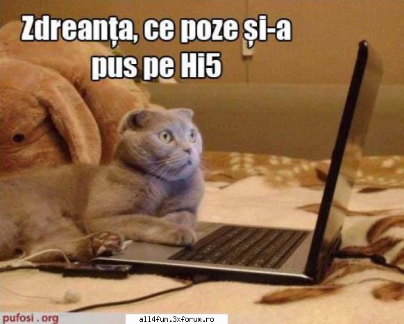 dati click pe imagine pentru a o vedea mai bn.. imagini