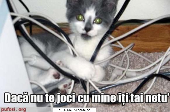dati click pe imagine pentru a o vedea mai bn.. imagini