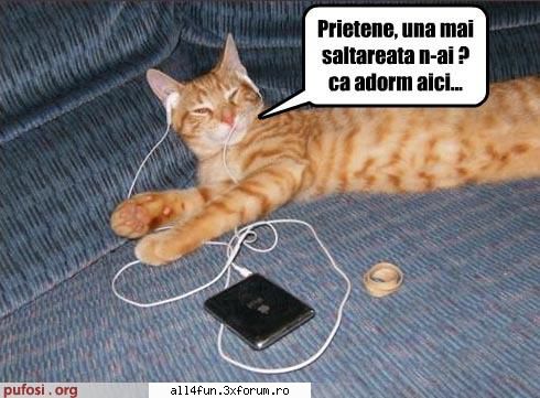 Imagini - dati click pe imagine pentru a o vedea mai bn - ***_***Imagini Amuzante***_***