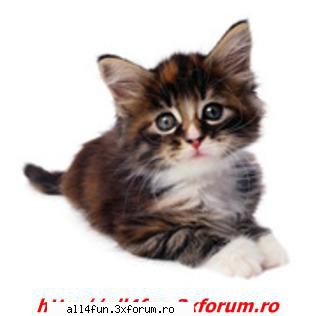 Imagini - dati click pe imagine pentru a o vedea mai bn - ***_***Imagini Amuzante***_***