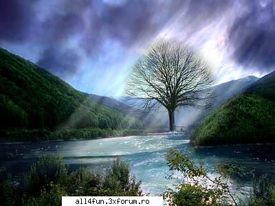 click pe imagine pentru a o mari ! imagini