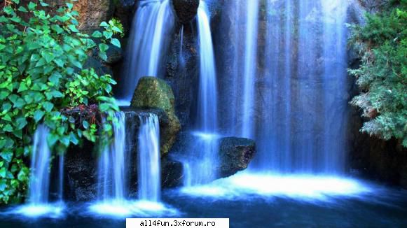 Imagini - Click pe imagine pentru a o mari ! - ***_***Imagini Amuzante***_***