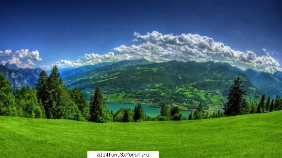 Imagini - Click pe imagine pentru a o mari ! - ***_***Imagini Amuzante***_***
