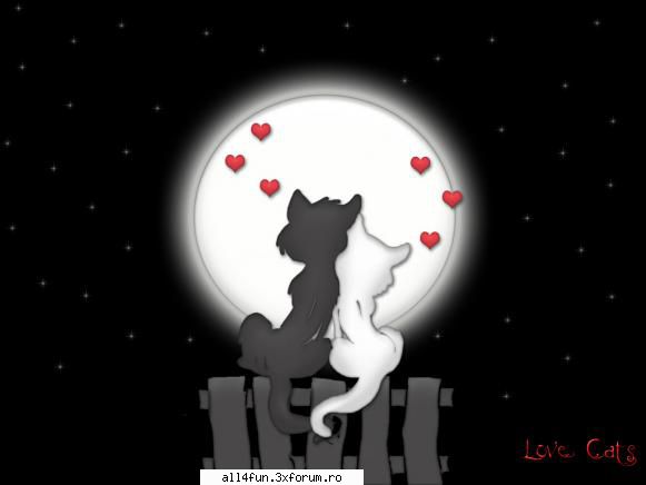click pe imagine pentru a mari . love  img
