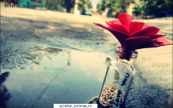 love - Click pe imagine pentru a mari - ***_***Diverse***_***